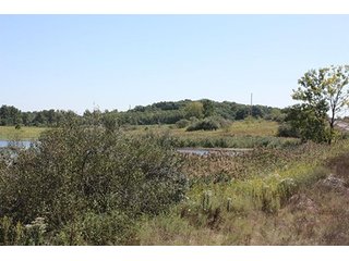 Property photo 31 - 419 +/- Acres offered in 6 Tracts, Land Auction
